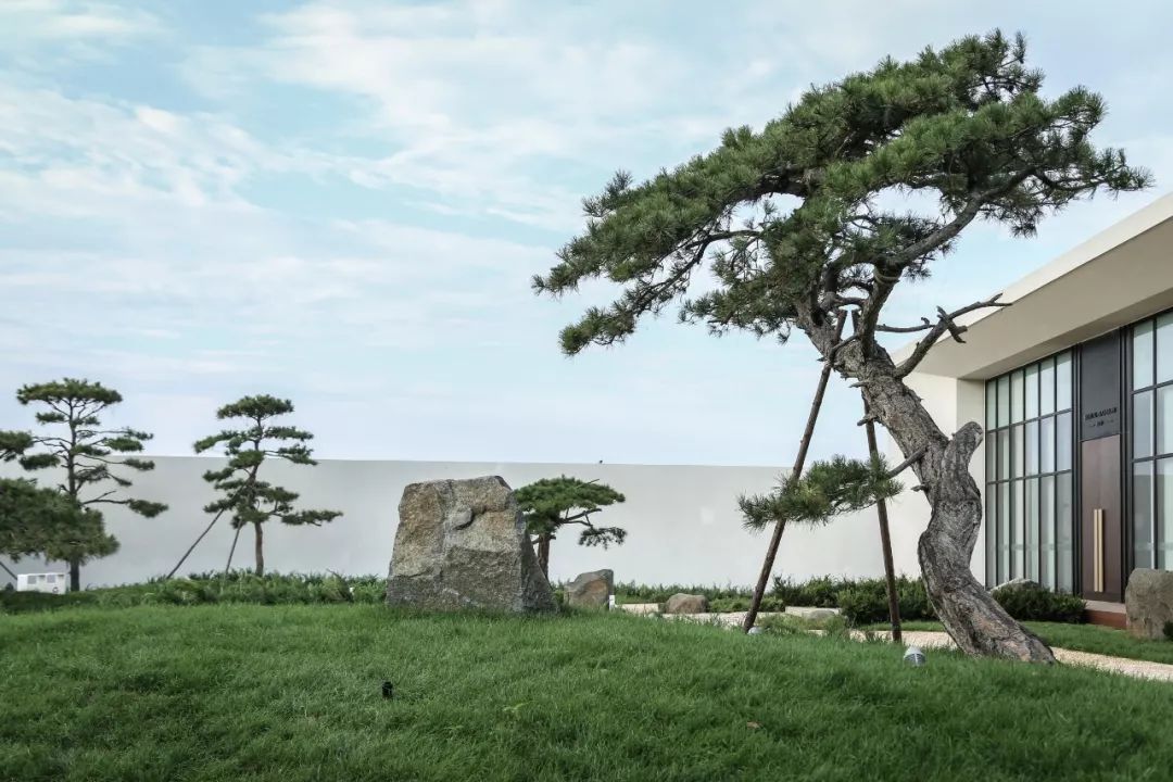 山海关金禧展示区 | 古松奇石，绘就历史画卷-4