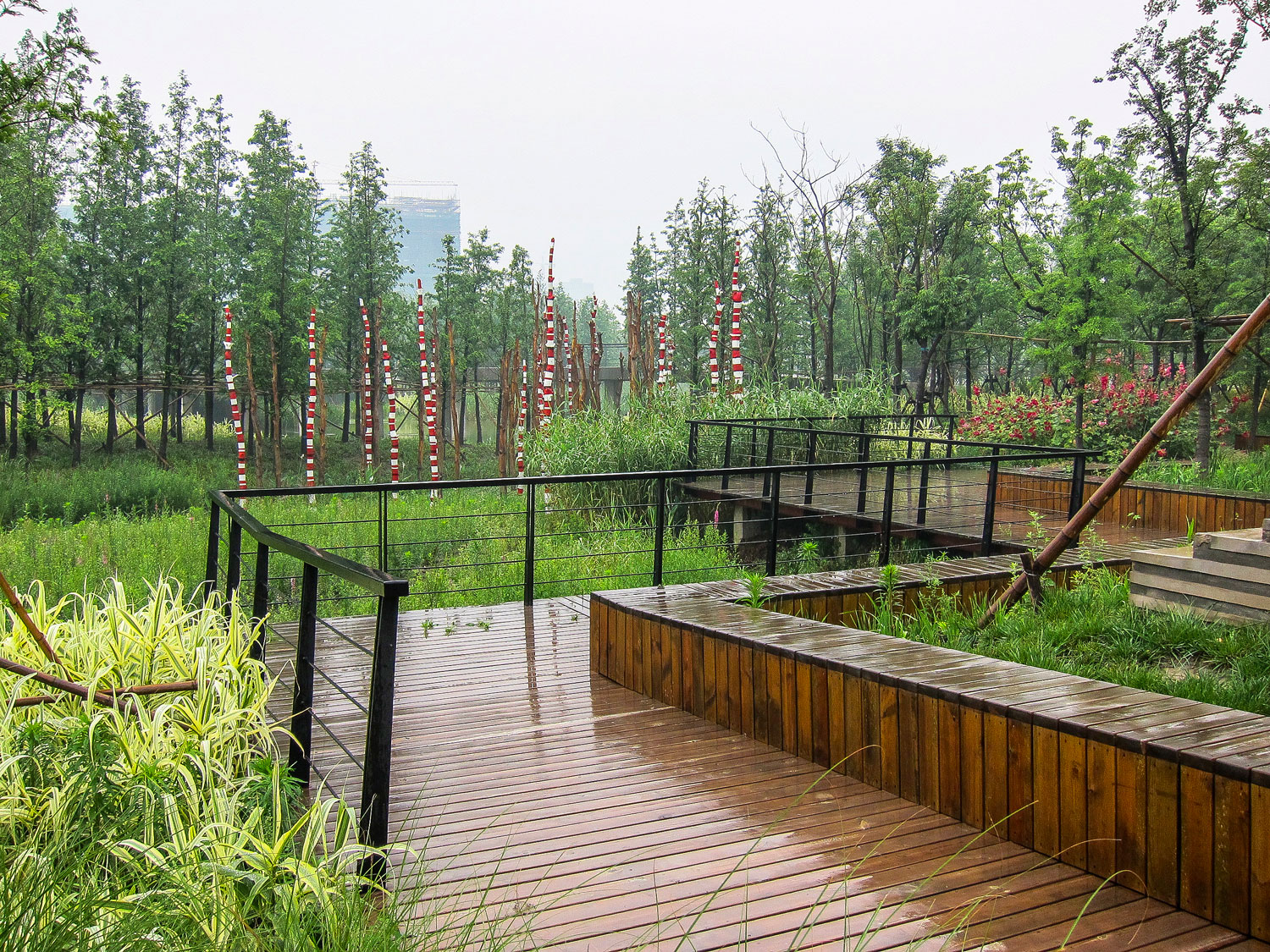 嘉定石冈门塘湿地公园-36