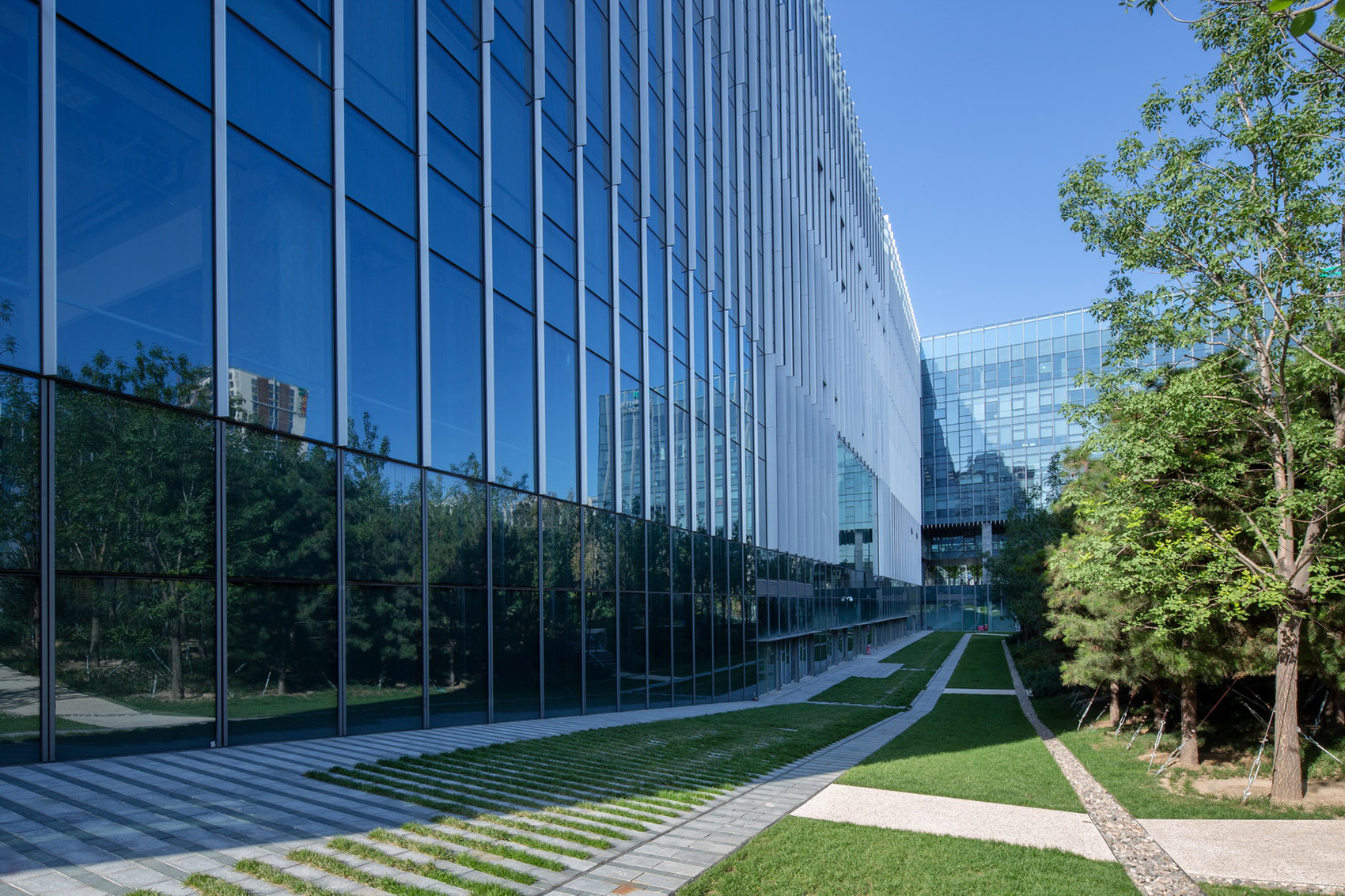 合院中的绿林·利星行中心（北京）景观设计丨中国北京-35