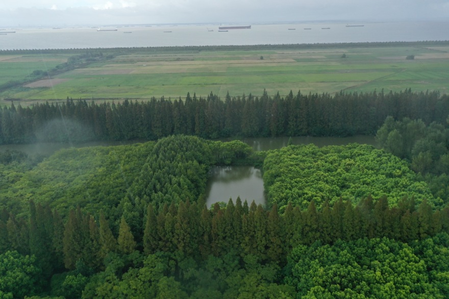 栋梁轩丨中国苏州丨神奇建筑研究室-43