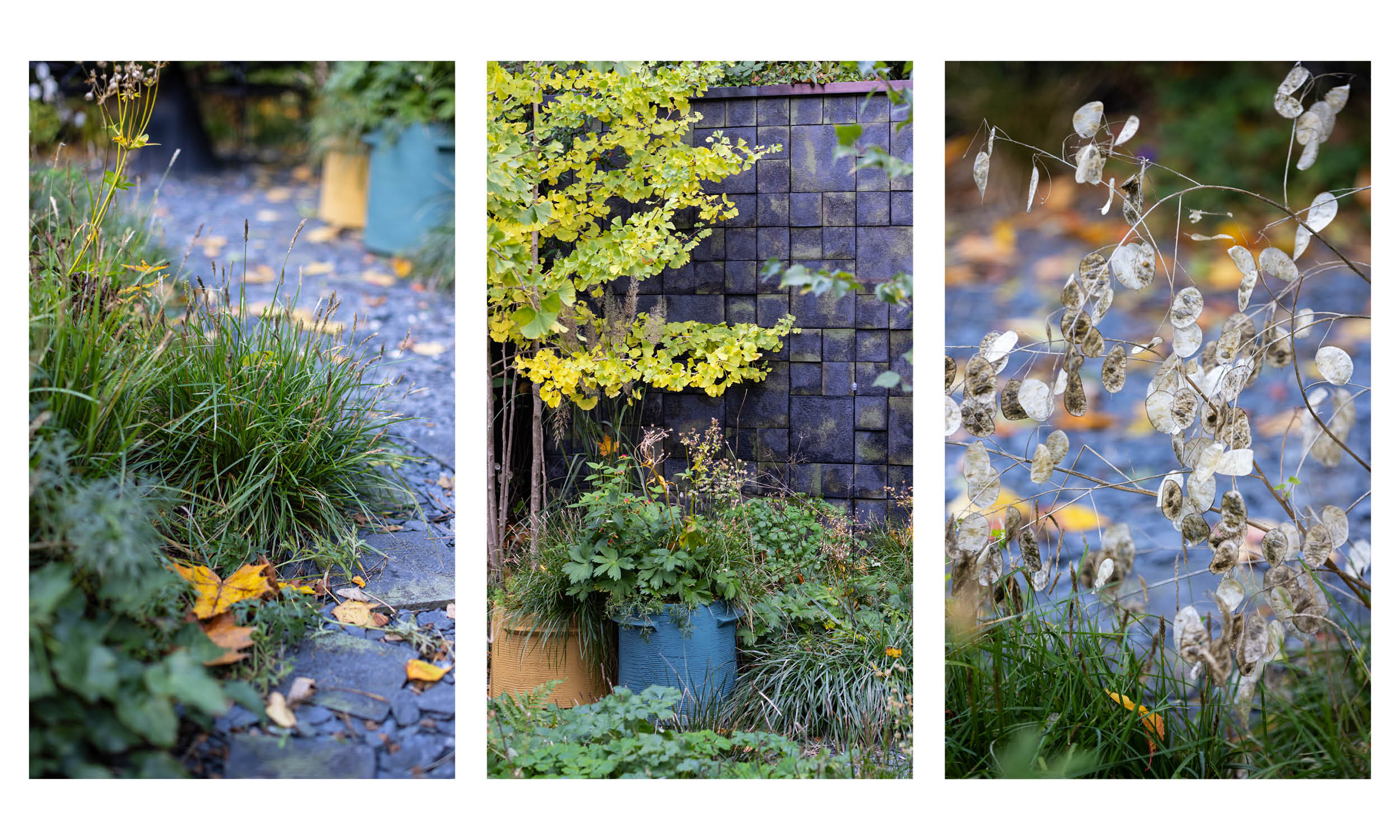 荷兰世园会  自然之境丨荷兰阿尔梅勒丨Stefano Marinaz景观公司（SMLA）-85