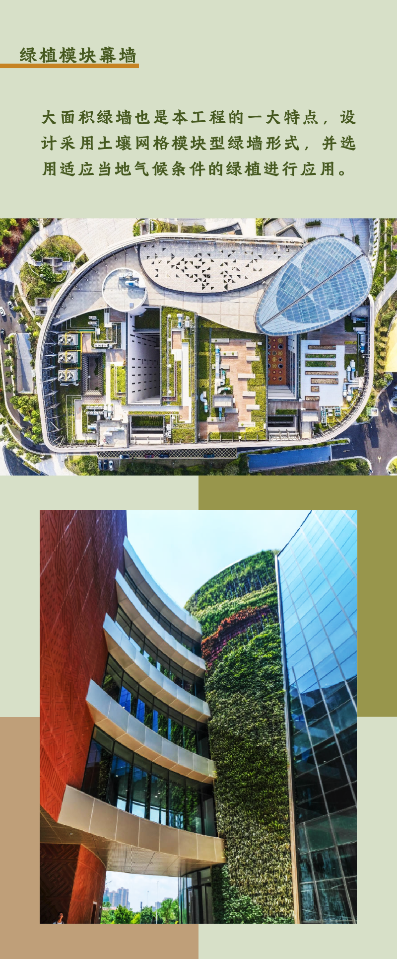 苏明文化中国行|第三站：泉州公共文化中心，打卡“双鲤戏刺桐”网红地标！-13