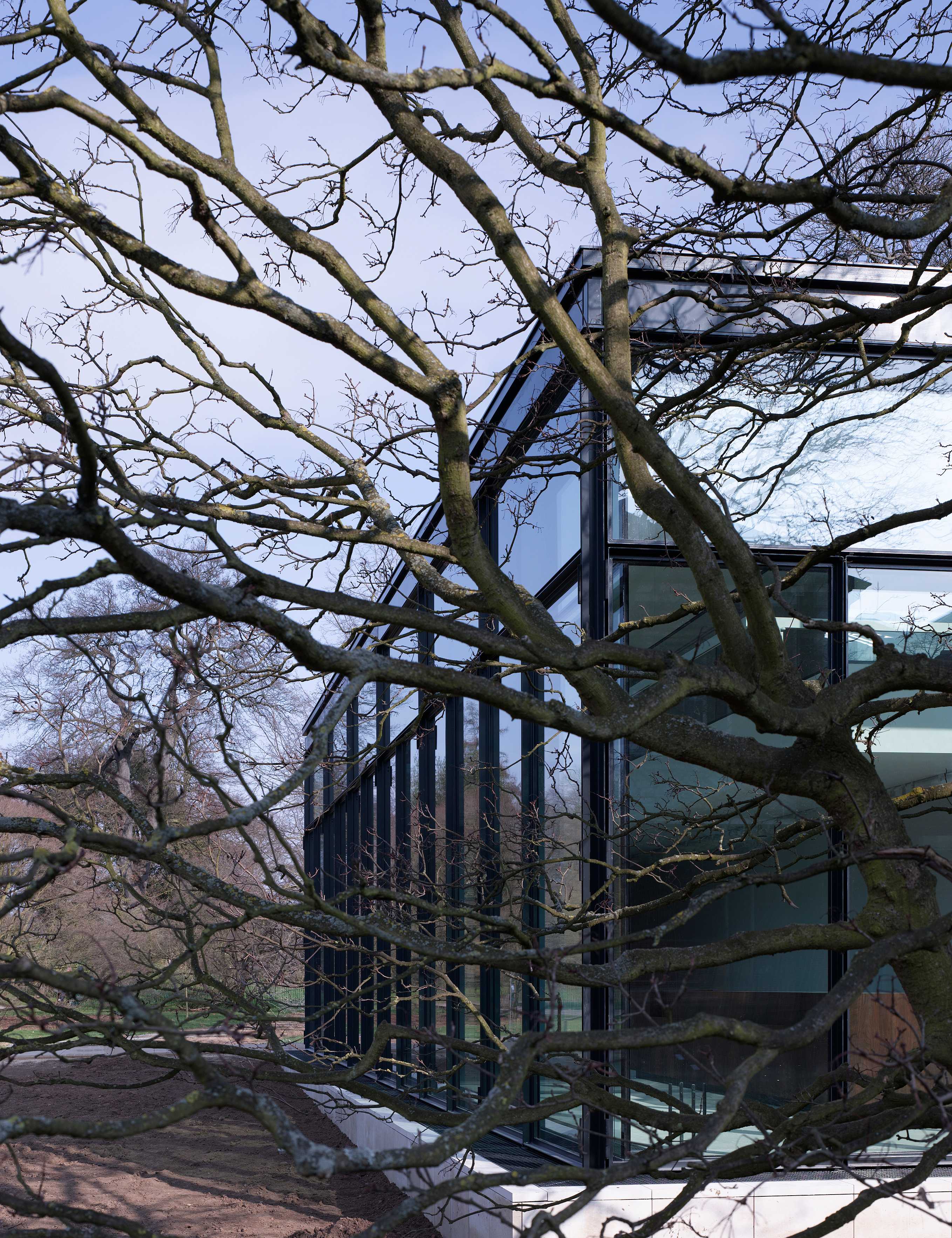 邱园植物艺术画廊（雪莉舍伍德美术馆）-27