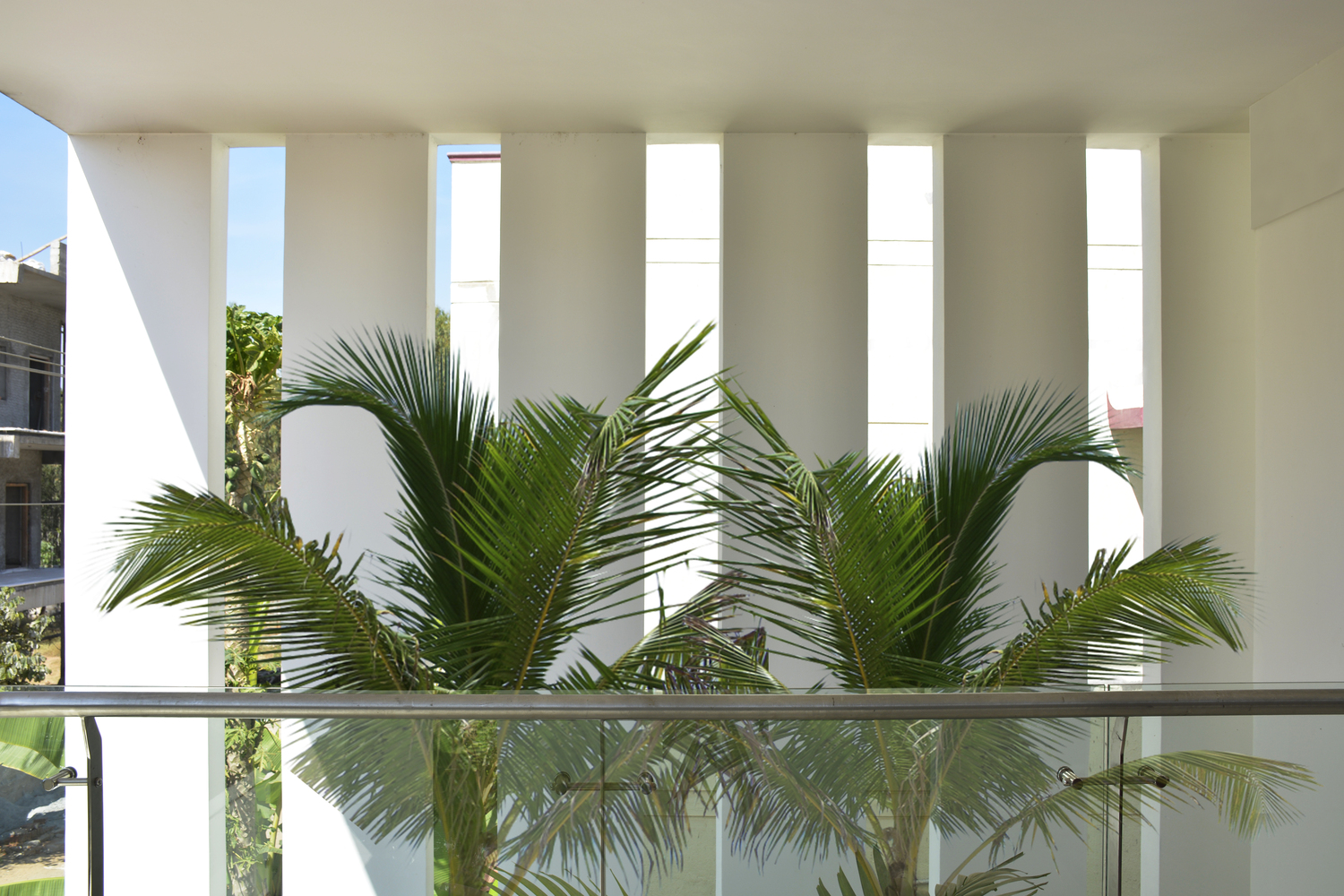 树拥抱者 · 印度班加罗尔的自然现代住宅-26