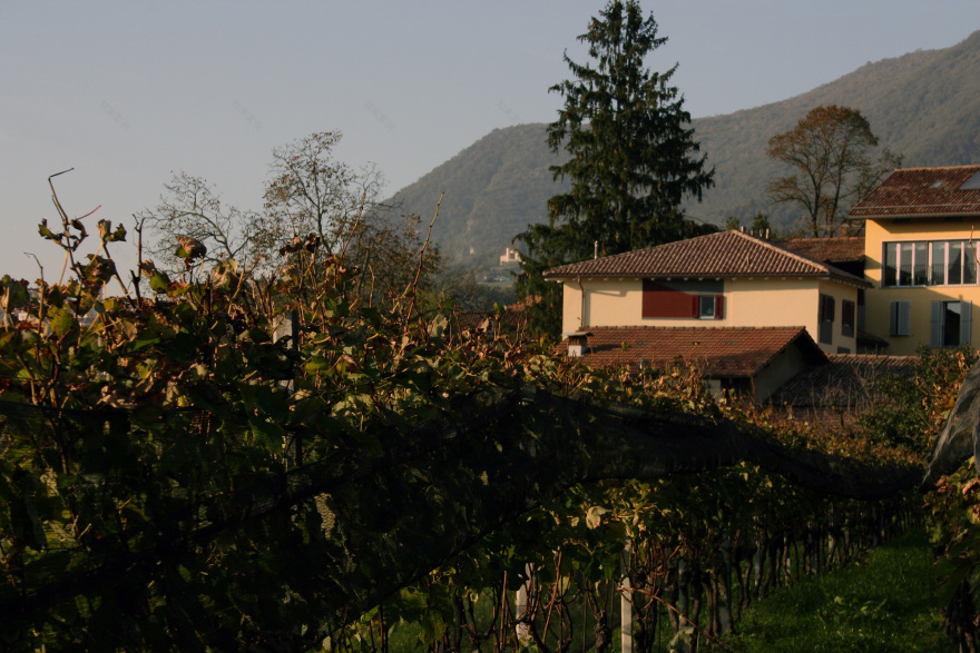 瑞士蒂奇诺州田园风光里的现代农舍改造-16