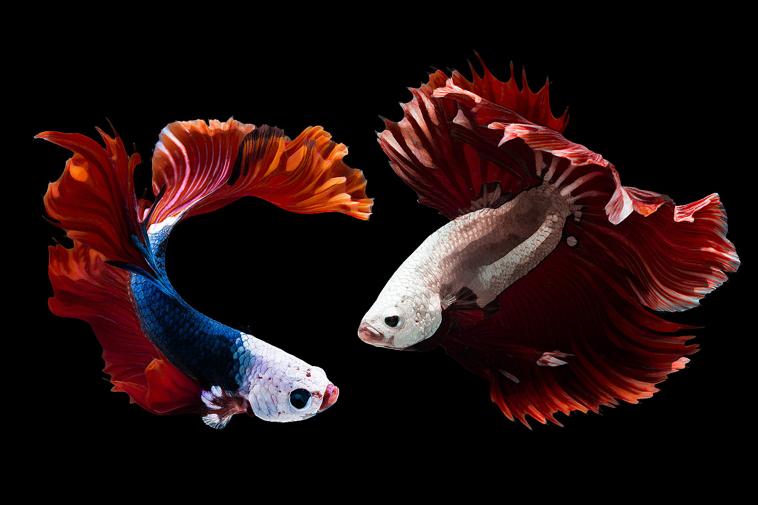 建筑草图丨Bozelos Panagiotis-24