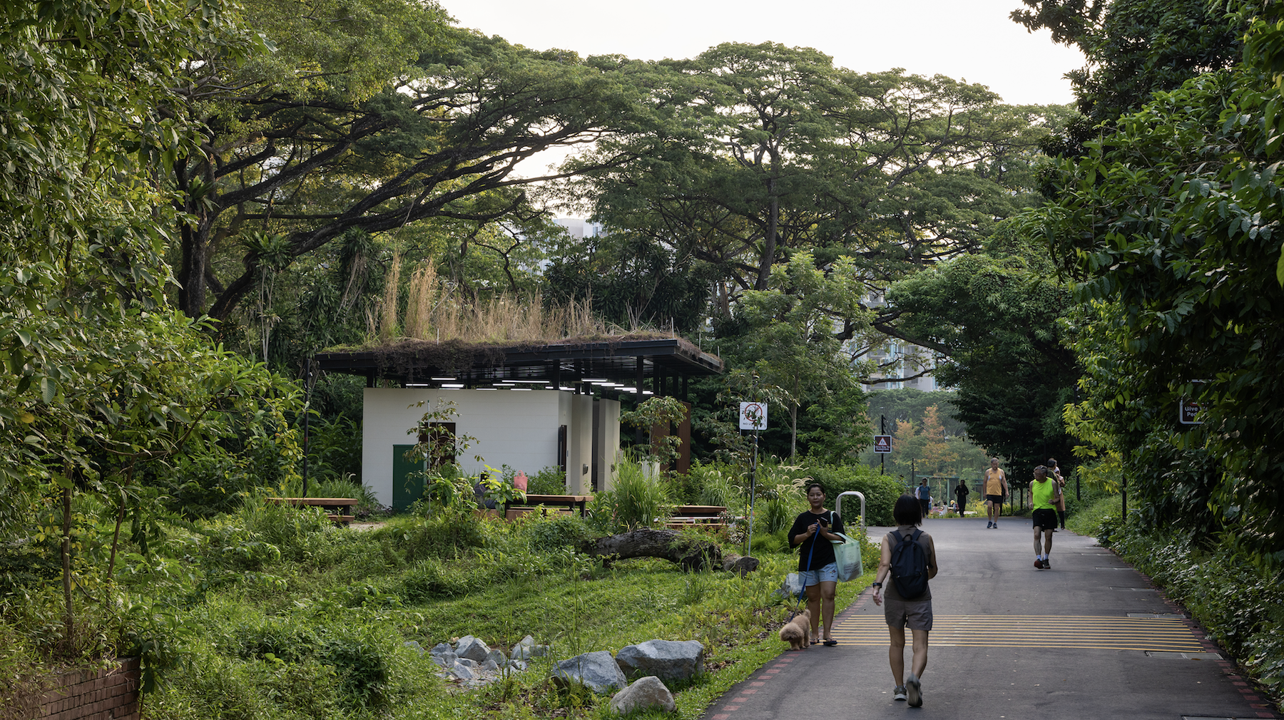 比达达利公园丨新加坡-27