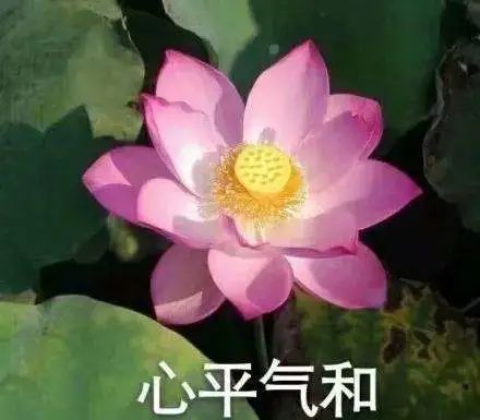 恒大 10 万人足球场“大莲花”设计,凸显中国风-113