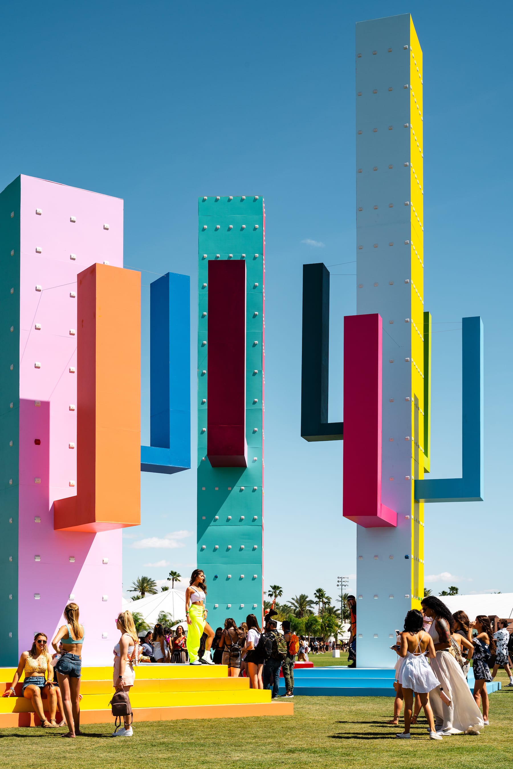 巨大仙人掌,科瓦奇办公室-6