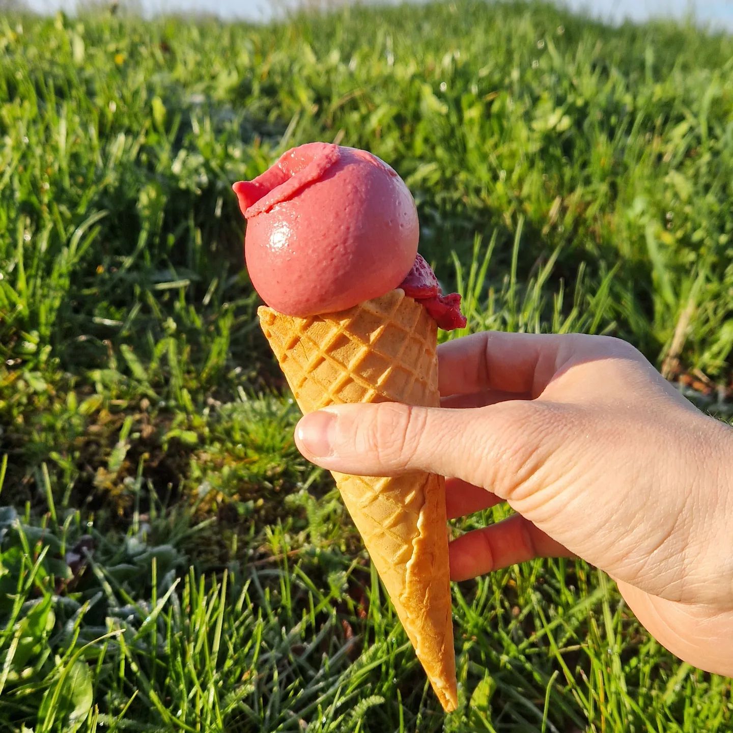 Danmarks bedste is | Guide til de bedste ishuse | bobedre.dk-12