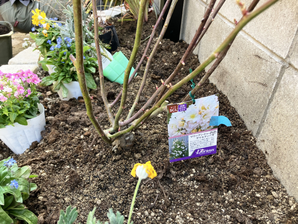 M様邸洋风庭院改造-48