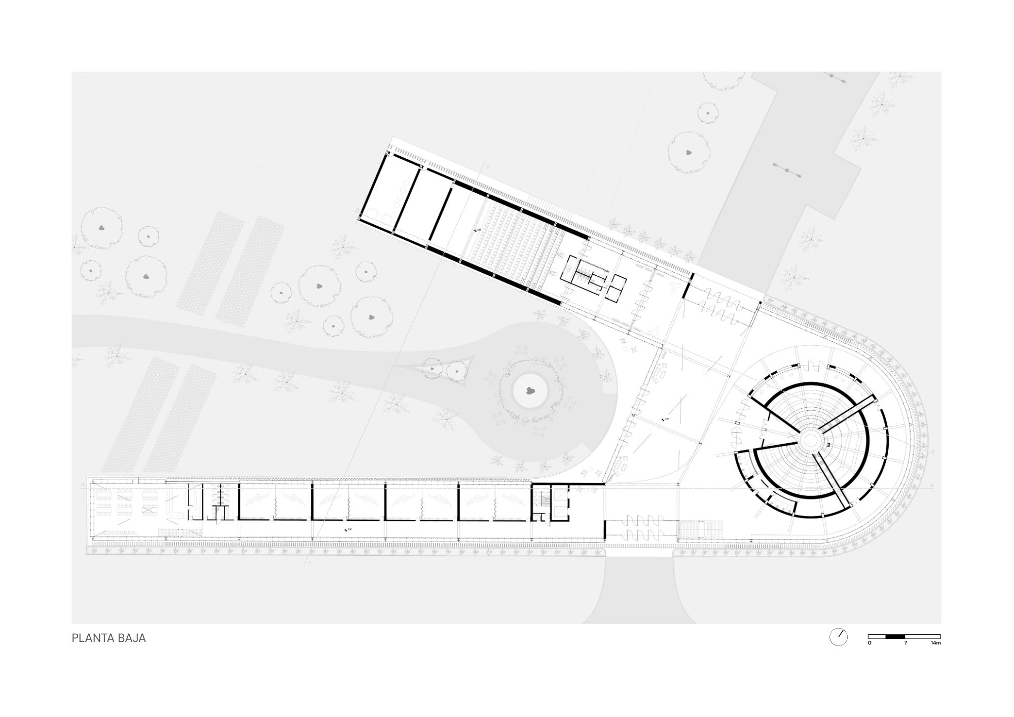 DISEÑO | Foro Patagónico-6