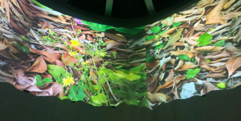 土地先喻 · 宝特瓶里的生态艺术空间丨中国上海丨刘宇扬建筑事务所-55