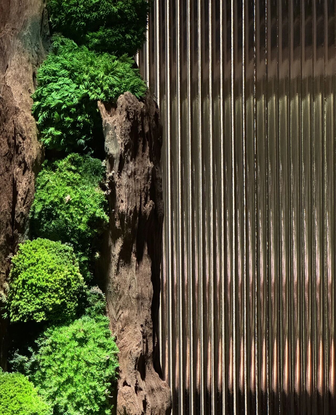 杉木日料丨中国大连丨odd设计事务所-62