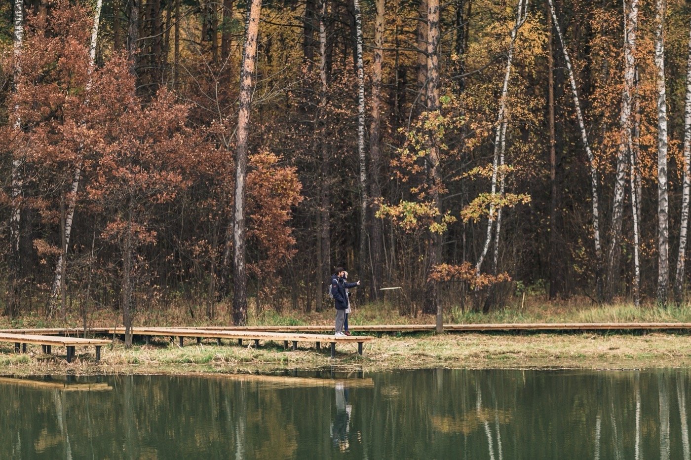 俄罗斯梅舍斯基森林景观丨不详-14