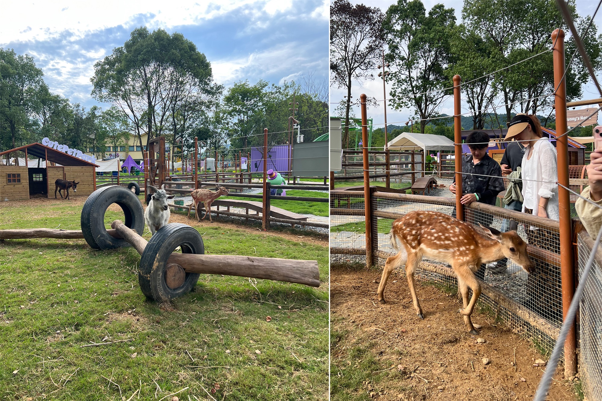 树蛙哇哦乐园丨中国新余丨深圳市派澜儿童游乐-119