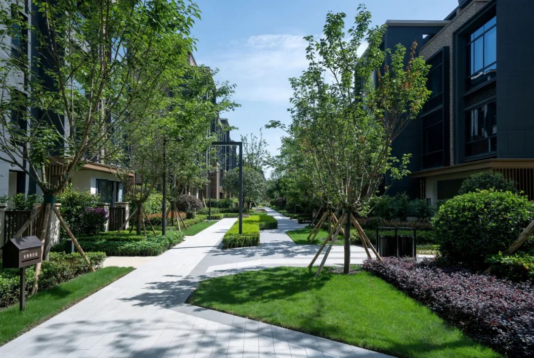 龙湖·双珑原著 3#块 | 自然艺术与现实生活的极致融合-141