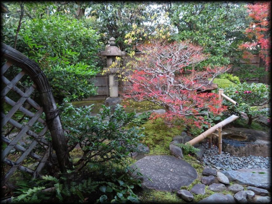 东寺观智院茶室「楓泉観」的露地丨日本京都丨未明确,可能为山田造园(仅为猜测)-24