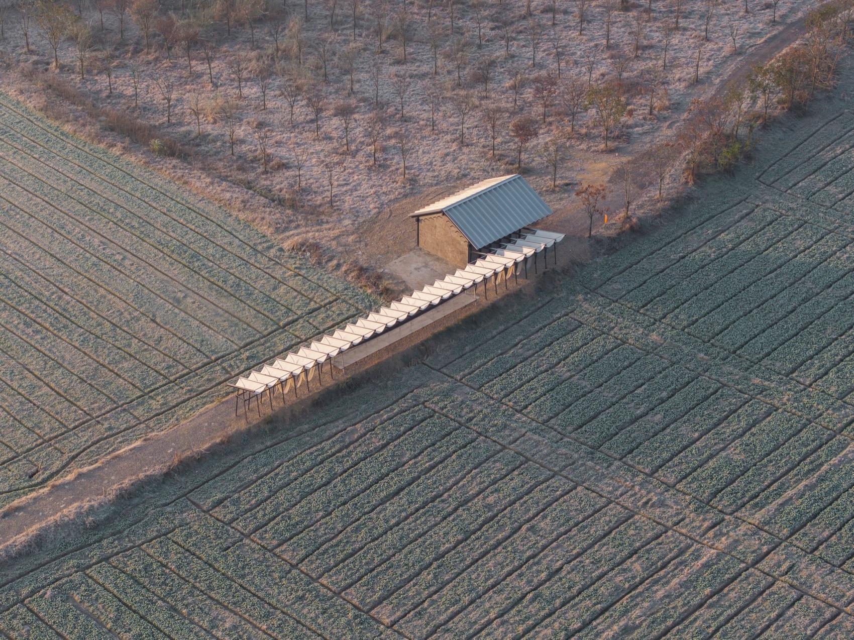 大地长桌丨中国衢州丨梓集fabersociety-188