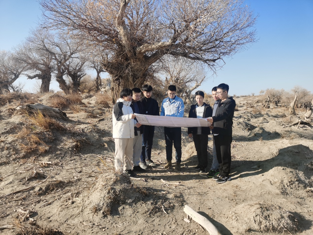 我的铁路风景|大漠长河间的铁路诗行-13