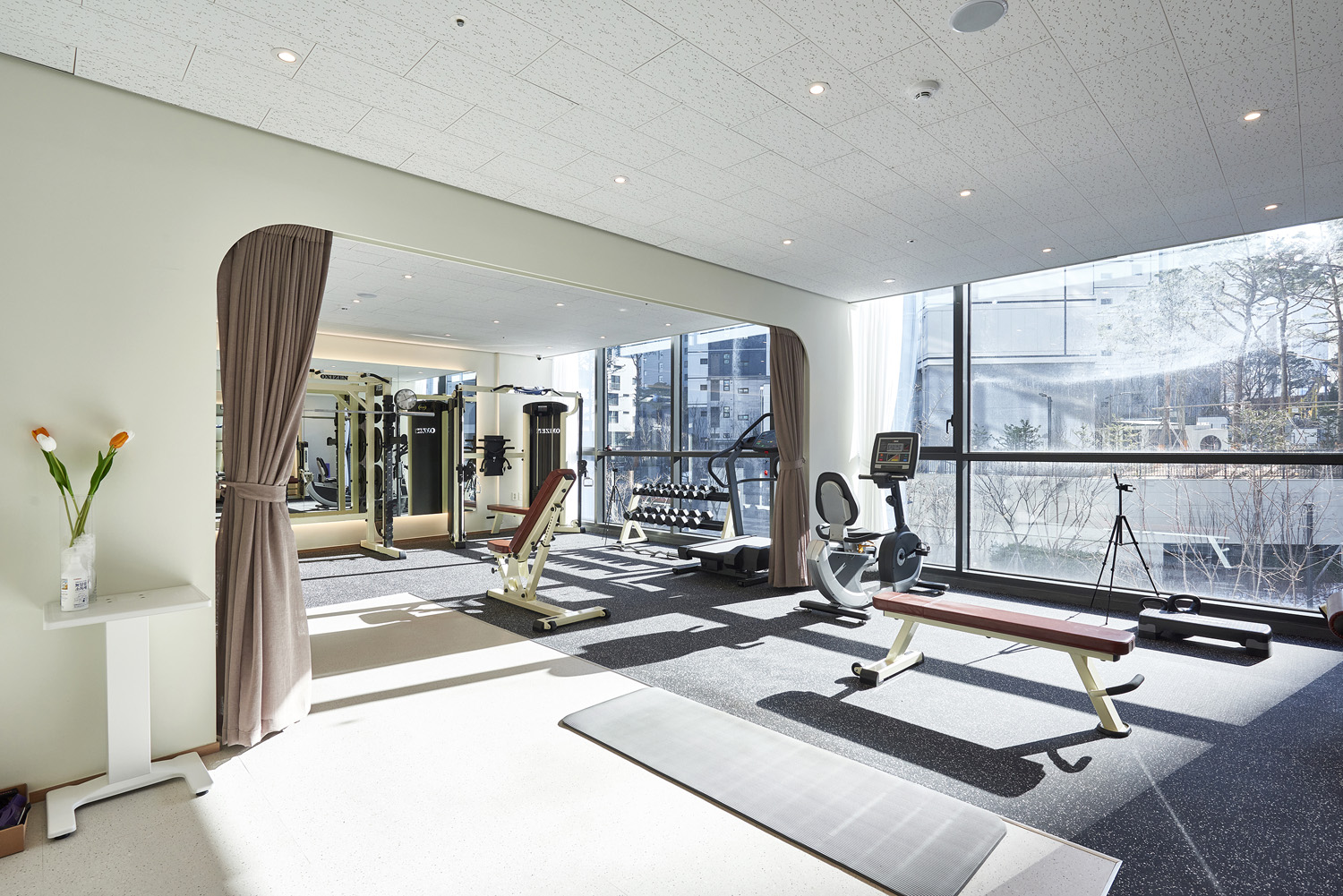 31 坪白色与木质的极简主义宠物店设计-10