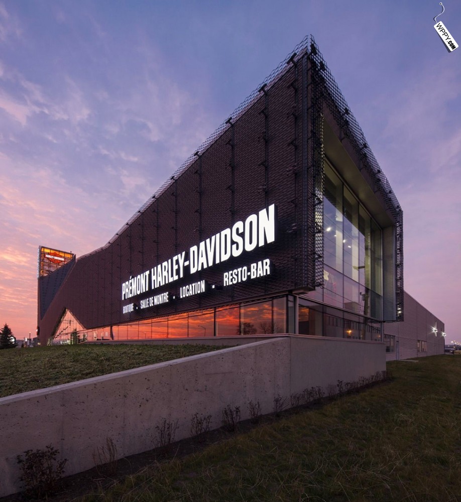 复杂的PREMONT哈雷戴维森-5