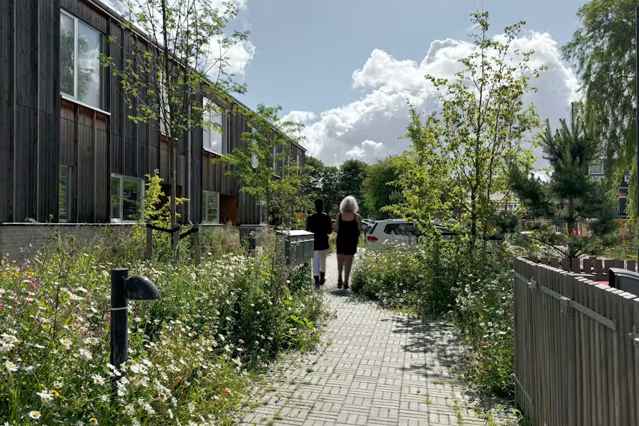 SLA 对 Tingbjerg 社区的更新项目丨丹麦哥本哈根-10