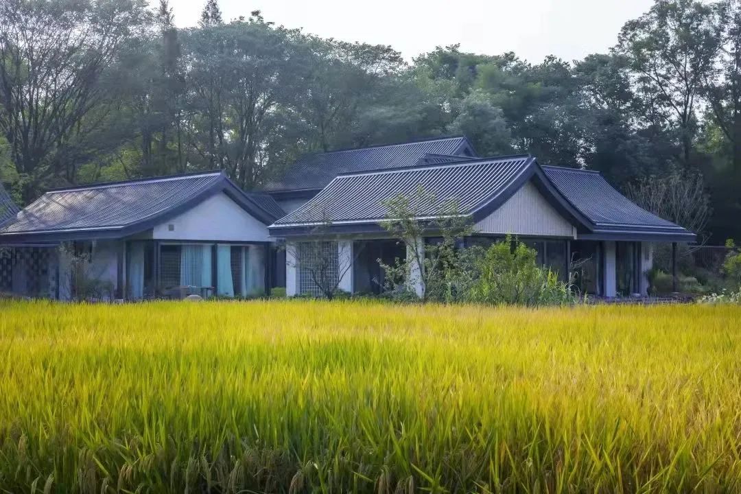 天府水岛林盘依田桃源丨中国成都丨梦景未来DDM-40