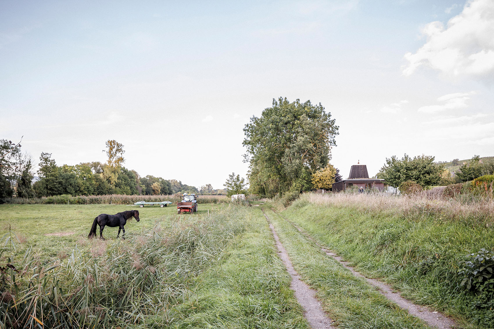 施拉赫贝尔海姆新市政厅丨法国-3