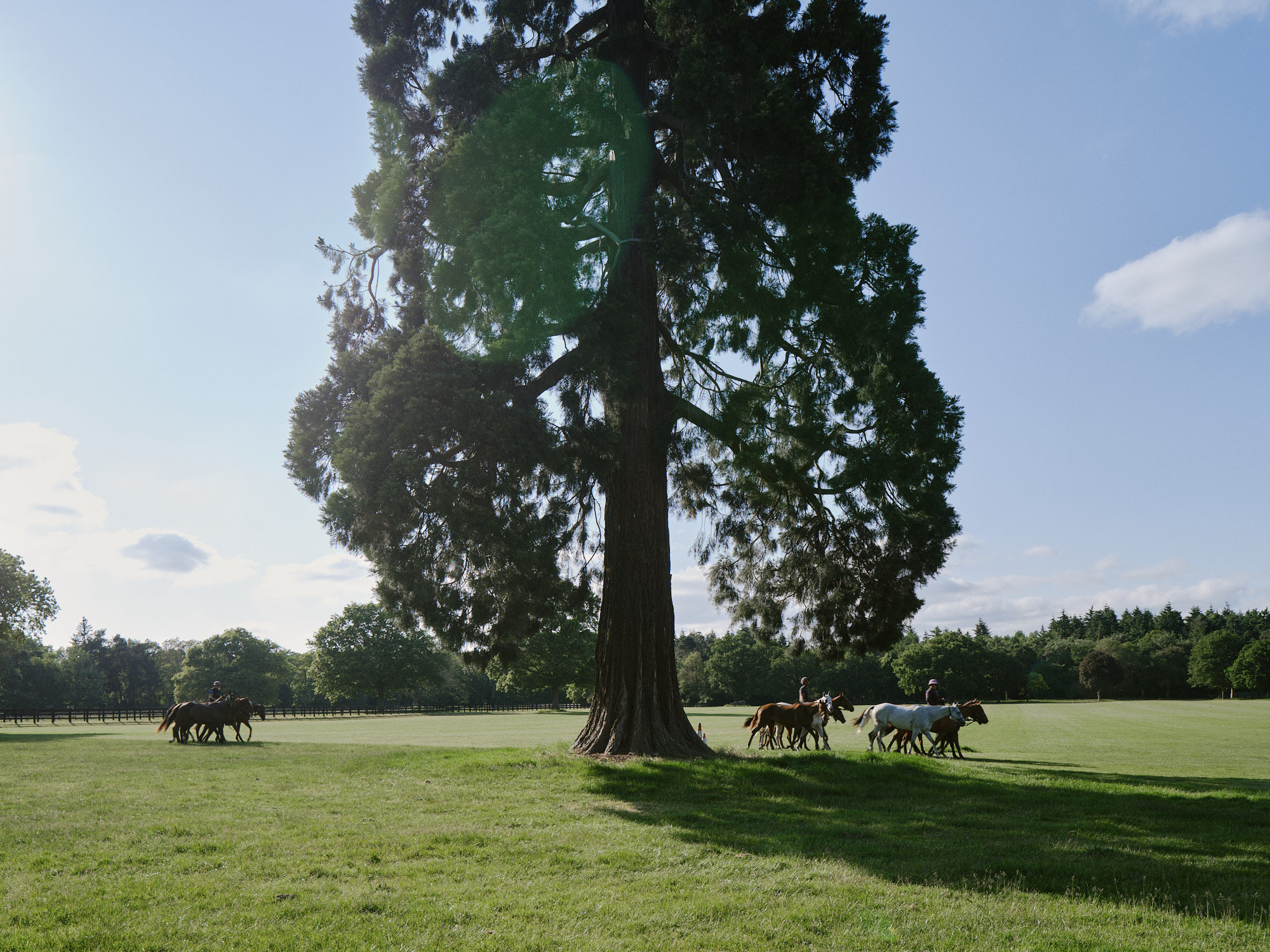 丨英国丨Da Costa Mahindroo Architects-20