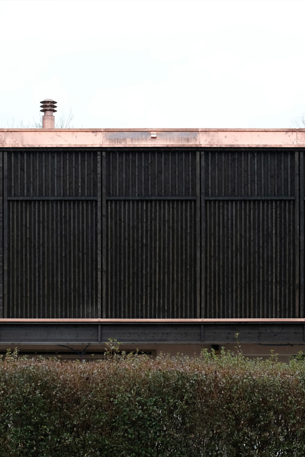 带有三个花园的房子丨Allen + Crippa-34