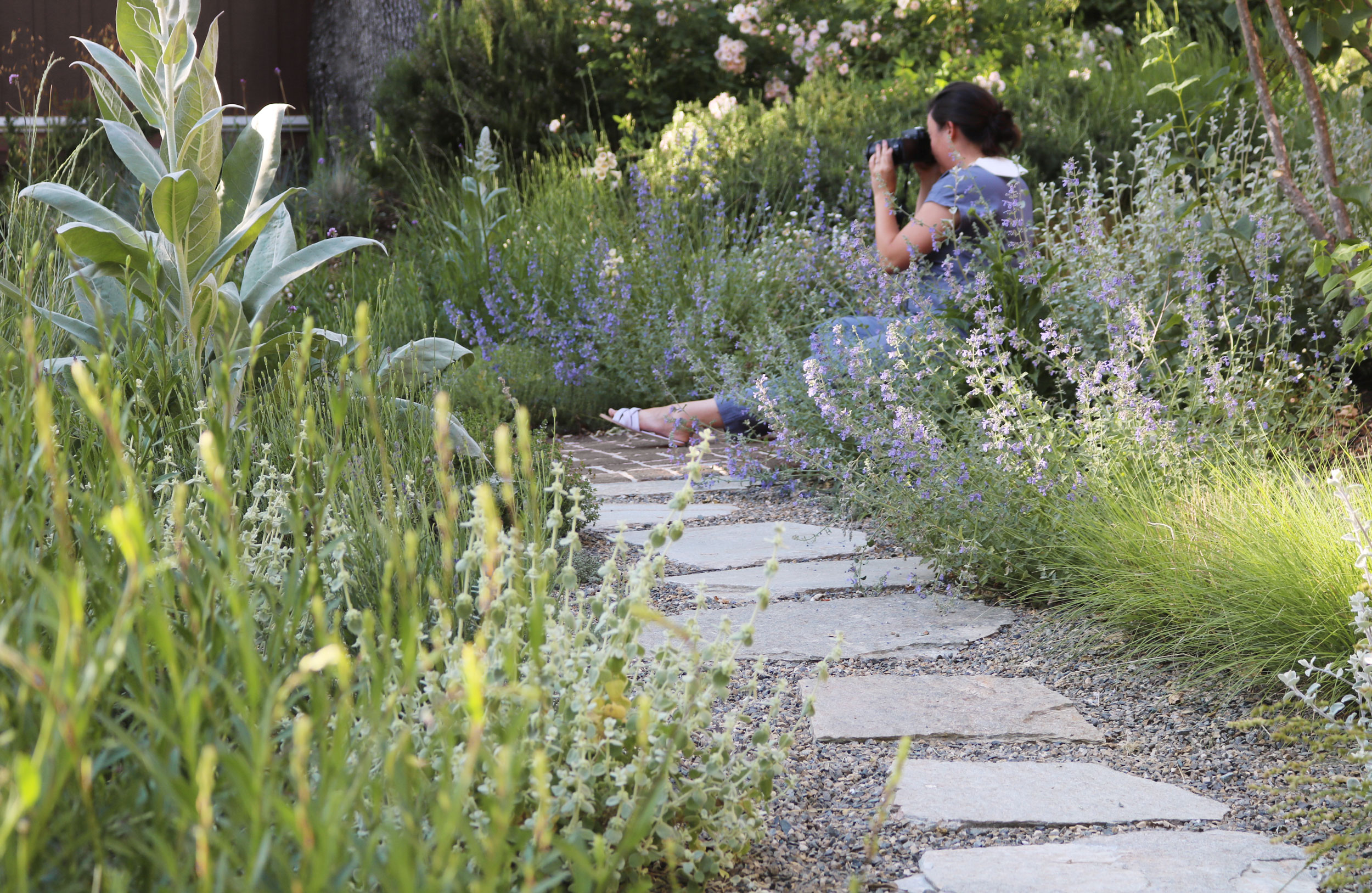 身边风景 | Soft Studio-118