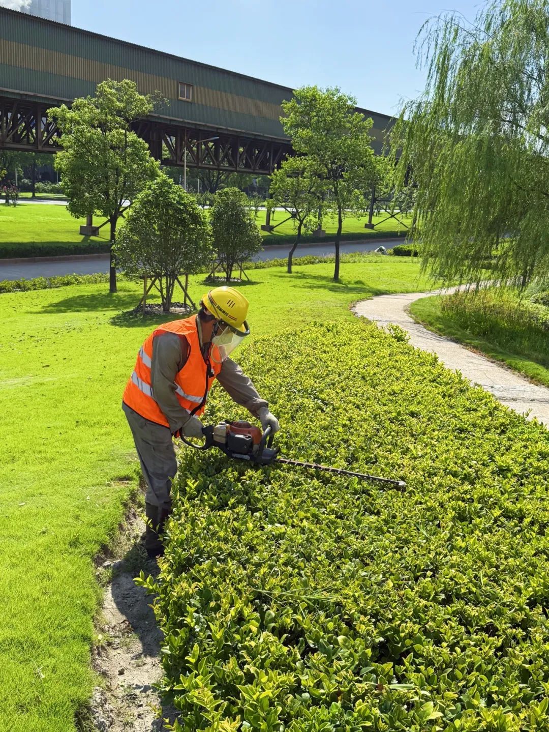 绿化养护｜“智”护钢铁绿洲：宝钢宝山基地的绿色呼吸由我们来守护-150