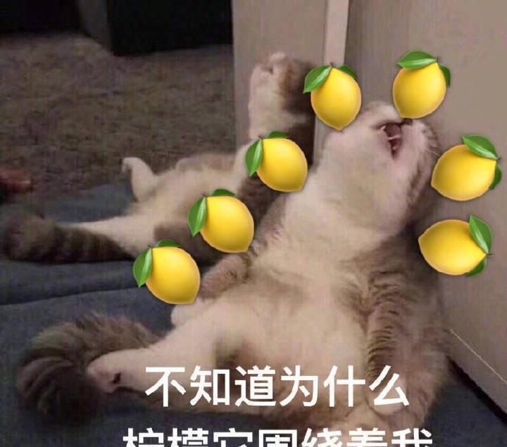 北欧极简温馨家居-38