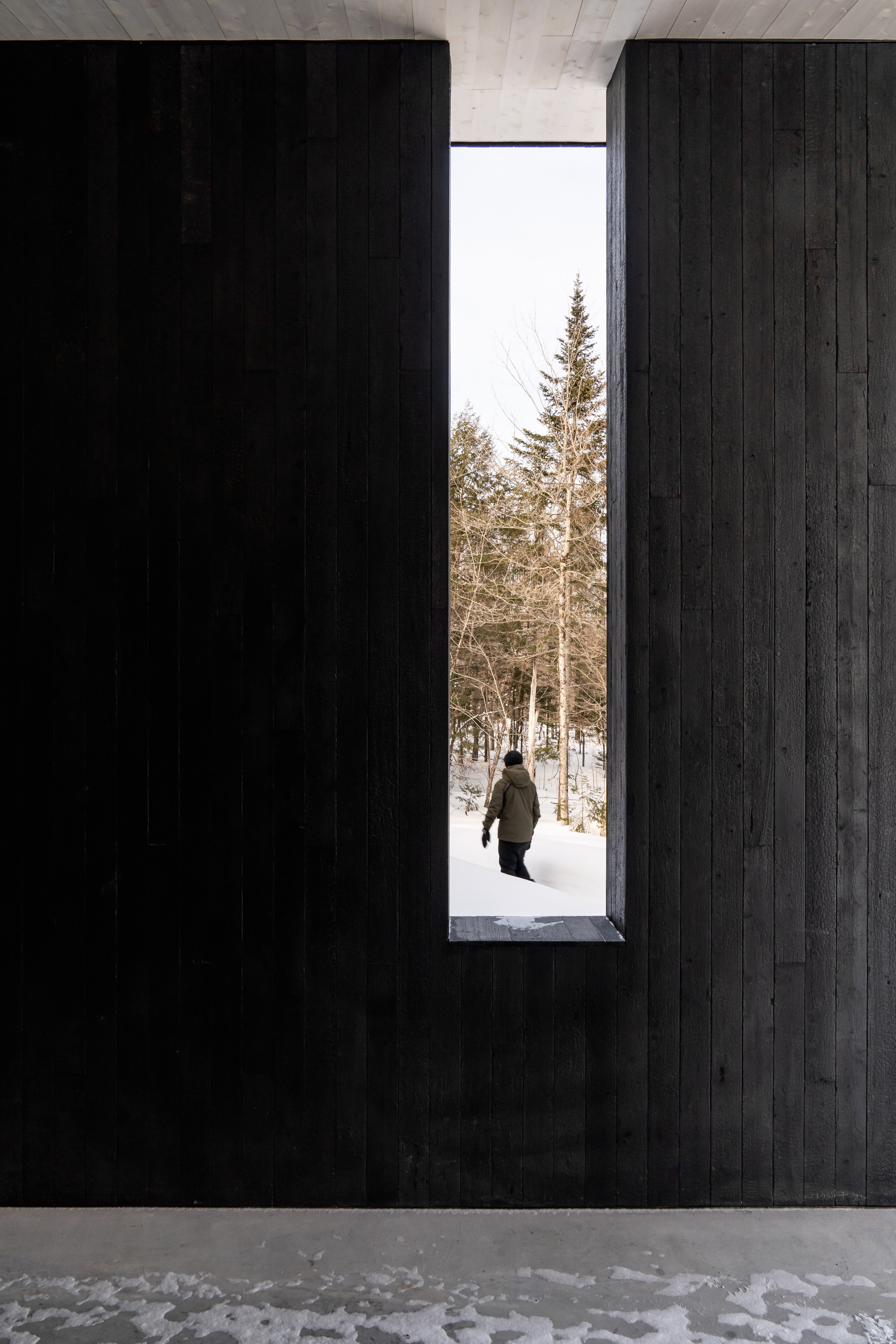 加拿大森林中的艺术创作绿洲丨Nicholas Francoeur-16