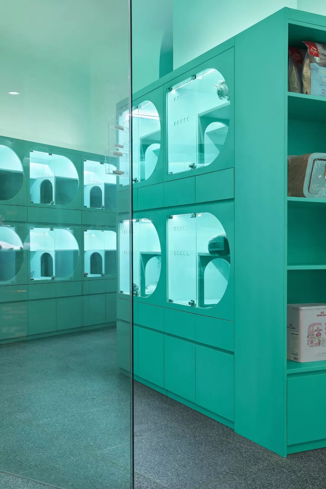 未耒 | 蓝绿矩阵 猫咪丛林-14