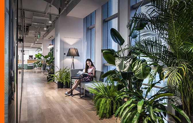 因美纳大中华区总部办公空间设计丨中国上海丨穆氏-0