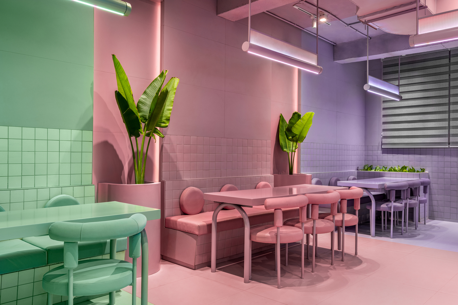 印度 Solan 市 Cosmo Deli & Bistro Bar丨Exubia Studio-11