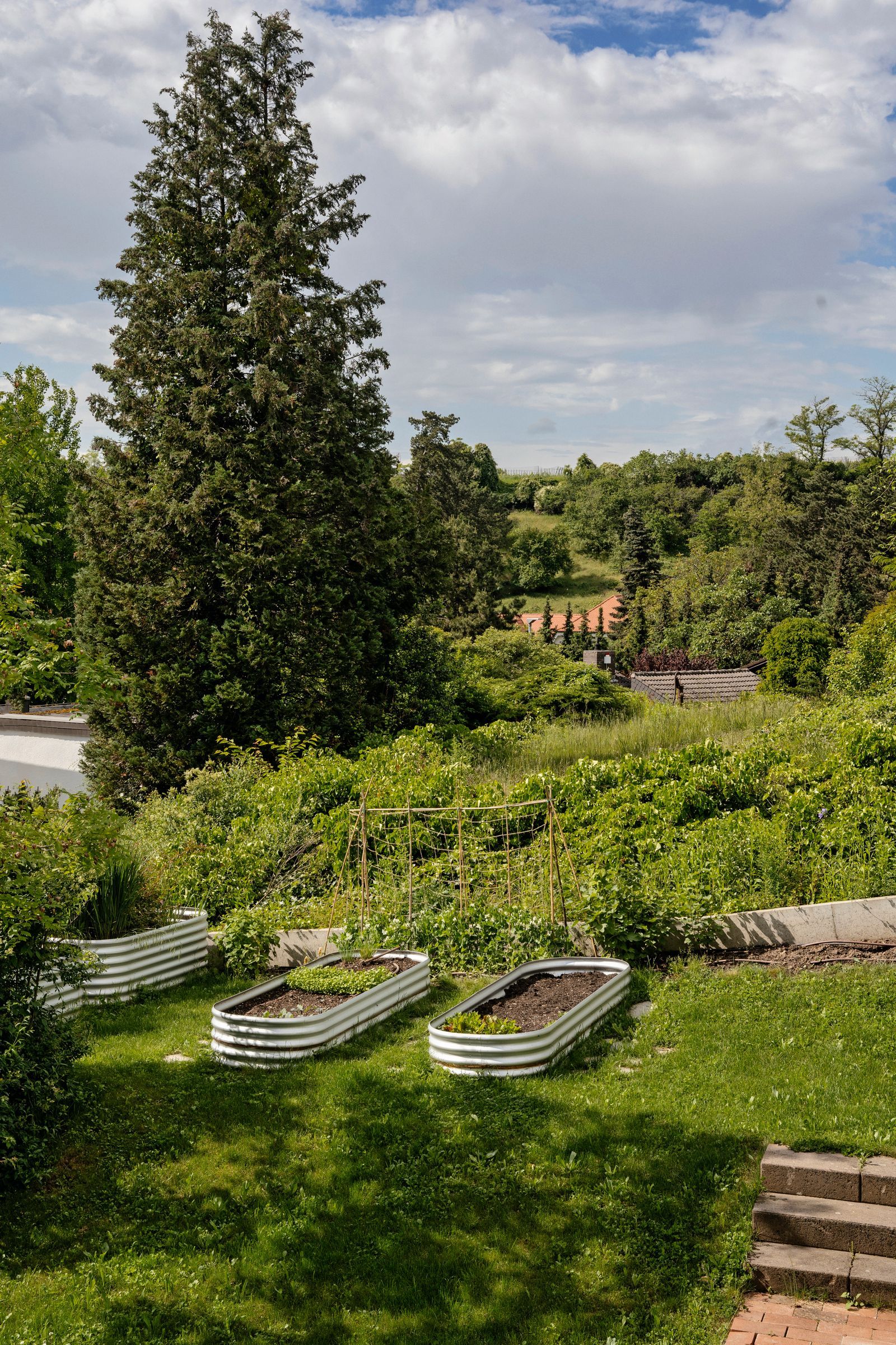 60年代平房改造项目丨德国-56