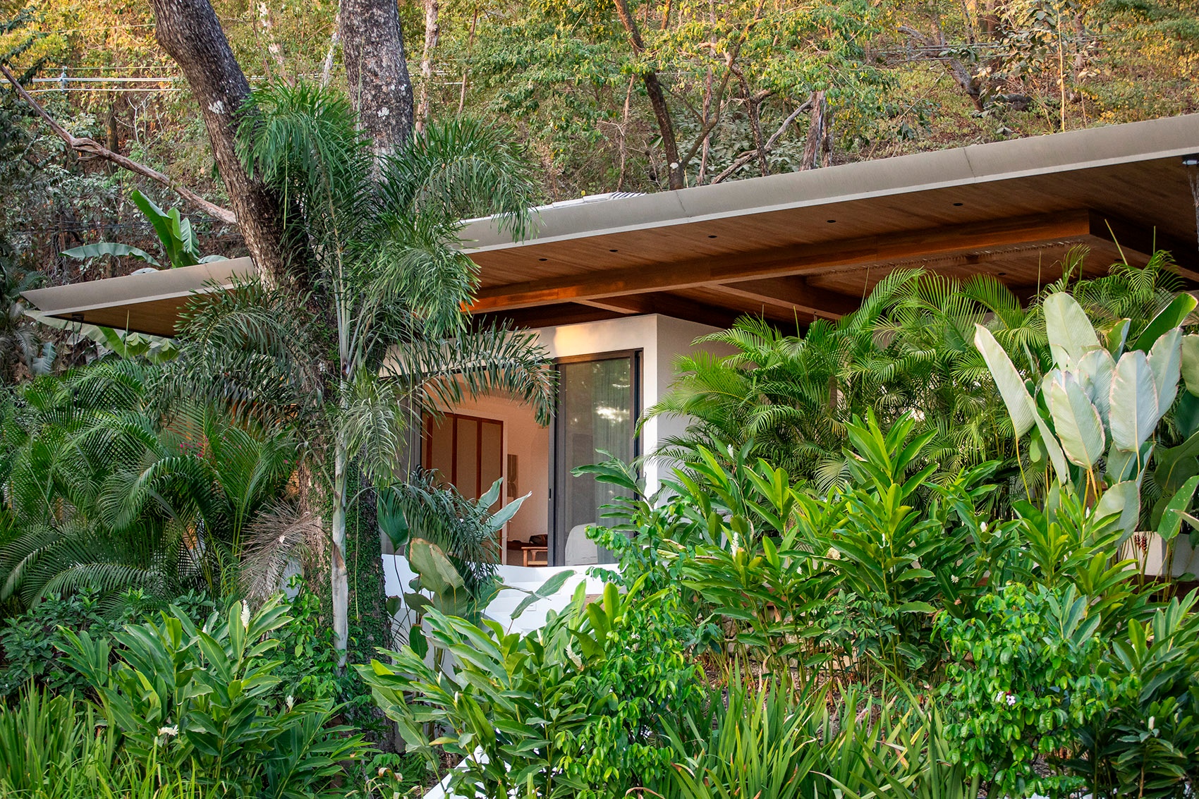 哥斯达黎加 Pasha 度假区丨Studio Saxe-33