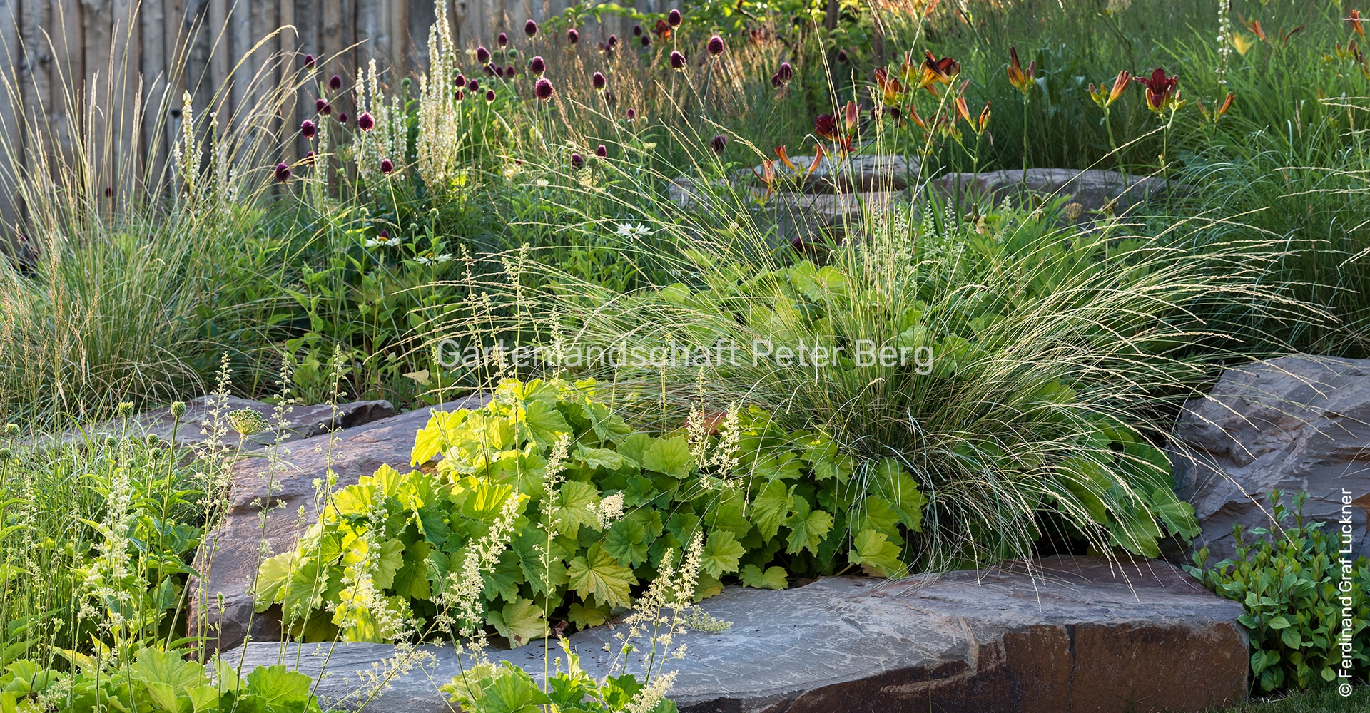 Gartenanlage bei Hannover（汉诺威园林项目）丨德国汉诺威丨Petra Pelz,Peter Berg-5