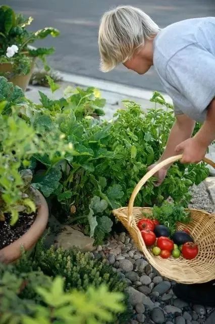 绿色生活趋势 | 可食地景打造城市美观实用景观-41