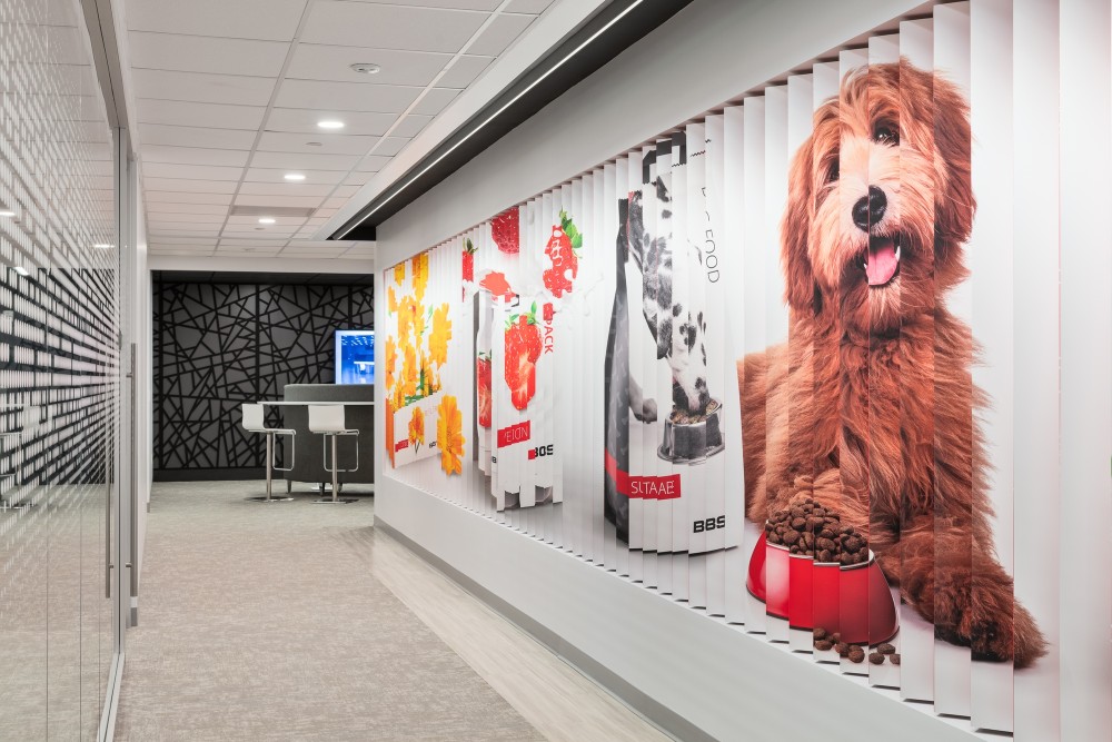 ParsippanyTroy 山 Bobst 北美办事处设计丨美国新泽西丨Studio Eagle-17