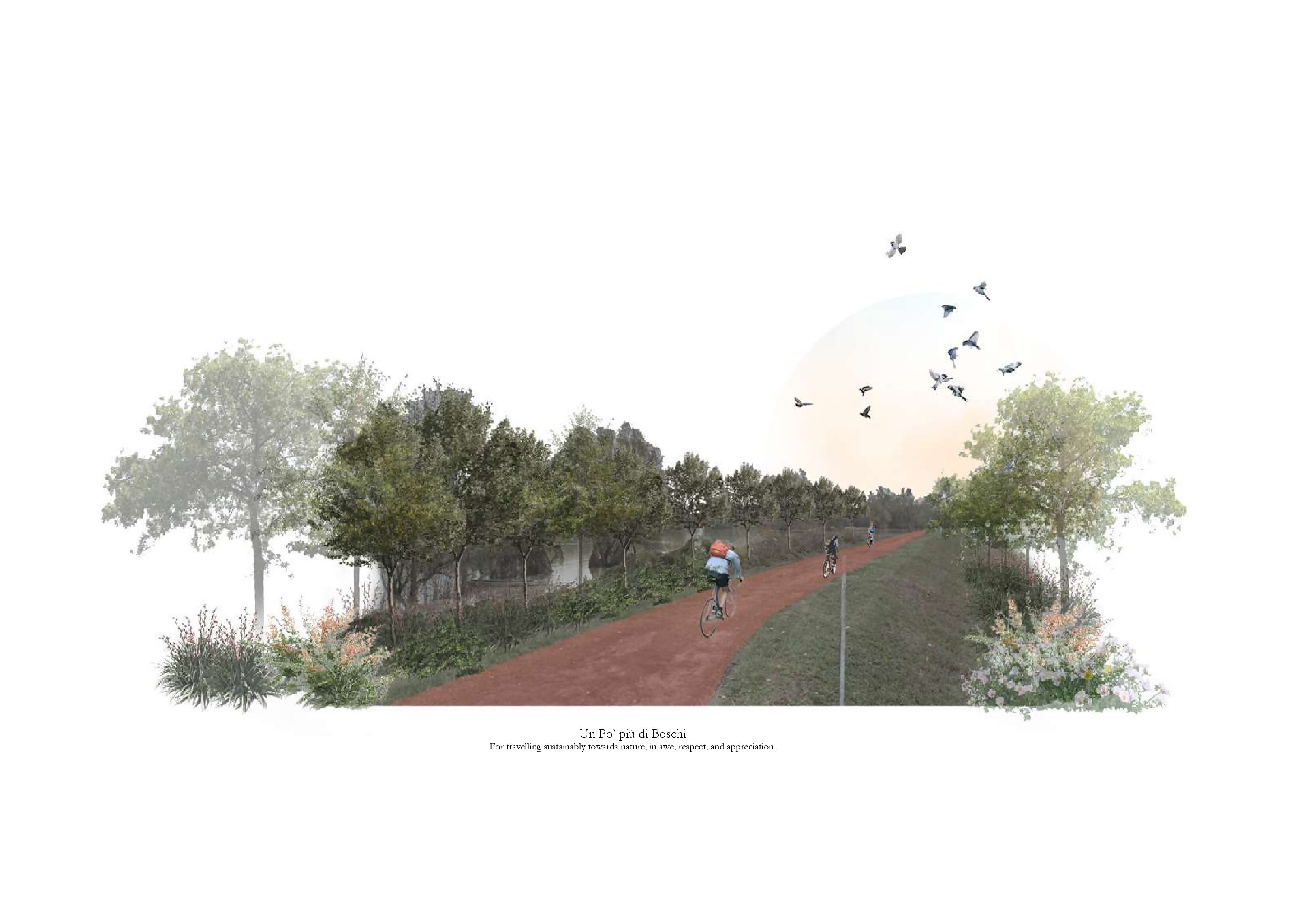 Pre-Thesis Final Studio: Un Po Piu di Boschi-42