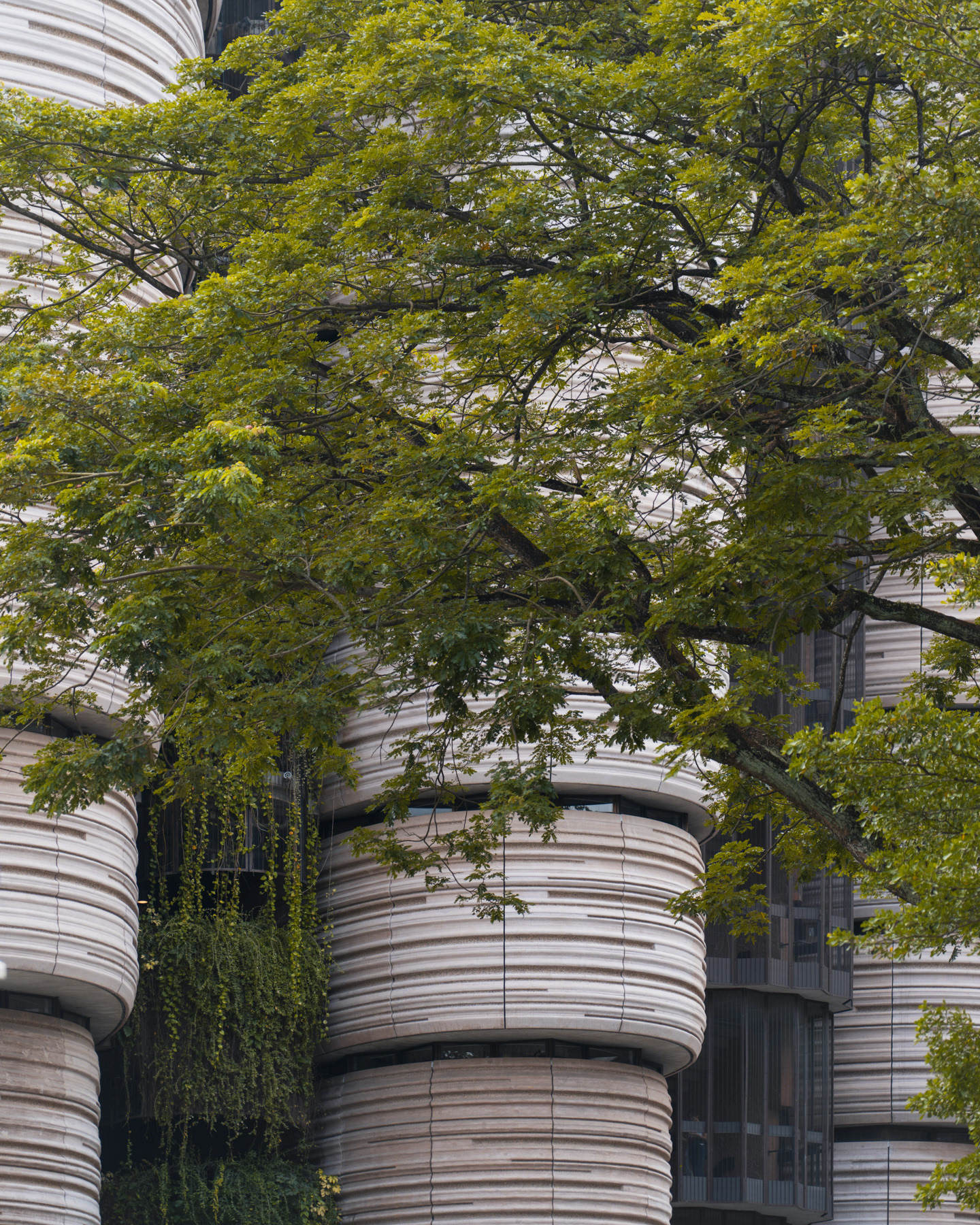 南洋理工大学学习中心丨新加坡丨Heatherwick Studio-15