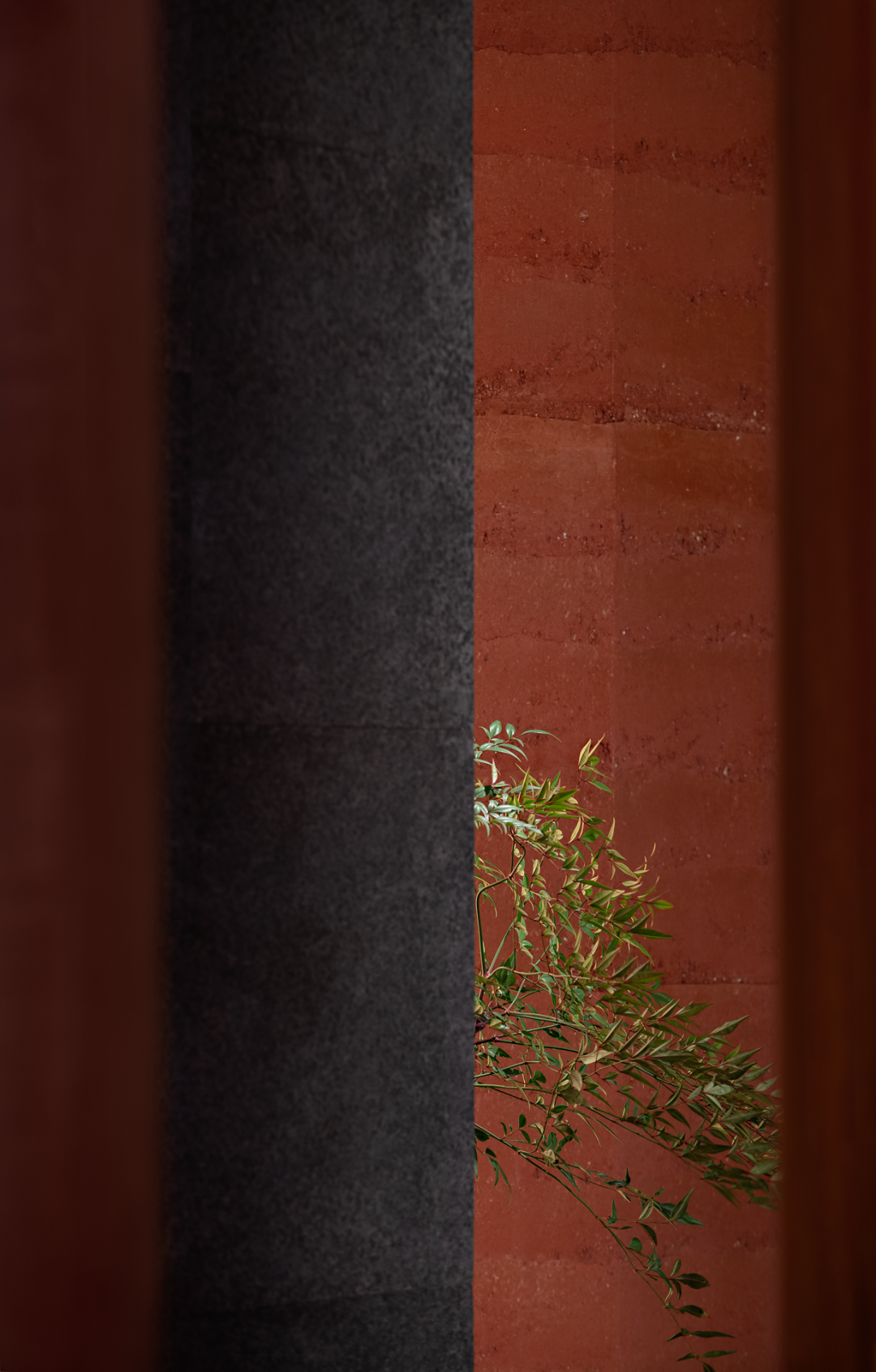 蟹道深圳平安金融中心店丨中国深圳丨道为设计TAOWAYDESIGN-25