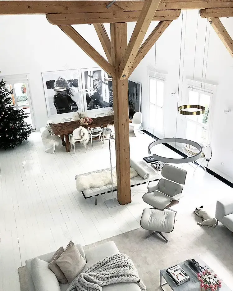 德国北欧风 Loft,空间与光的精致之作-2