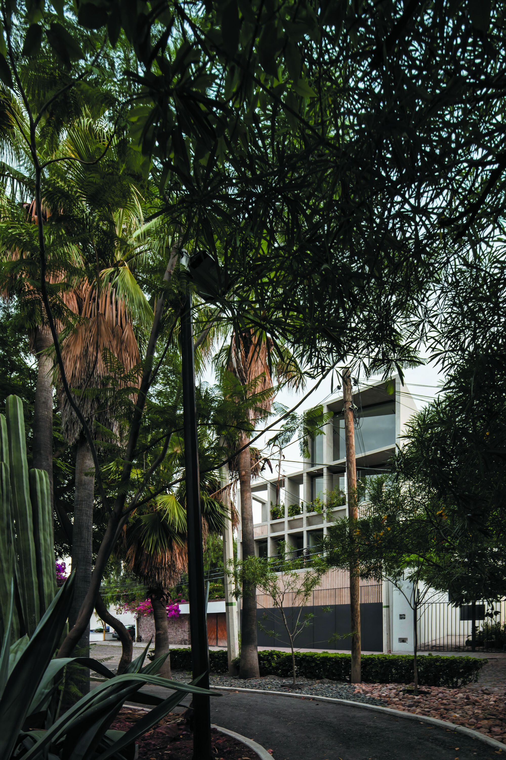 拉斯哈达斯住宅区丨墨西哥丨REIMS 502-36