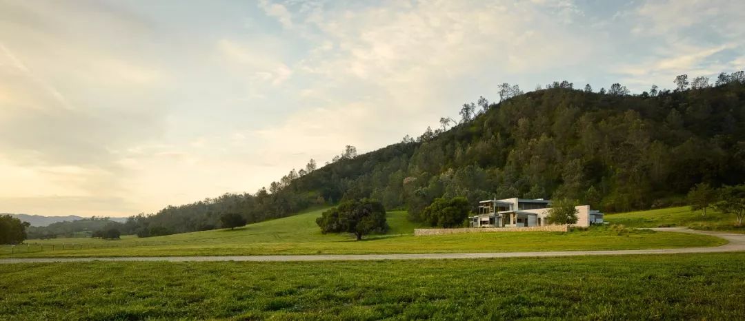 森林中的宁静隐居,对话自然之美-95