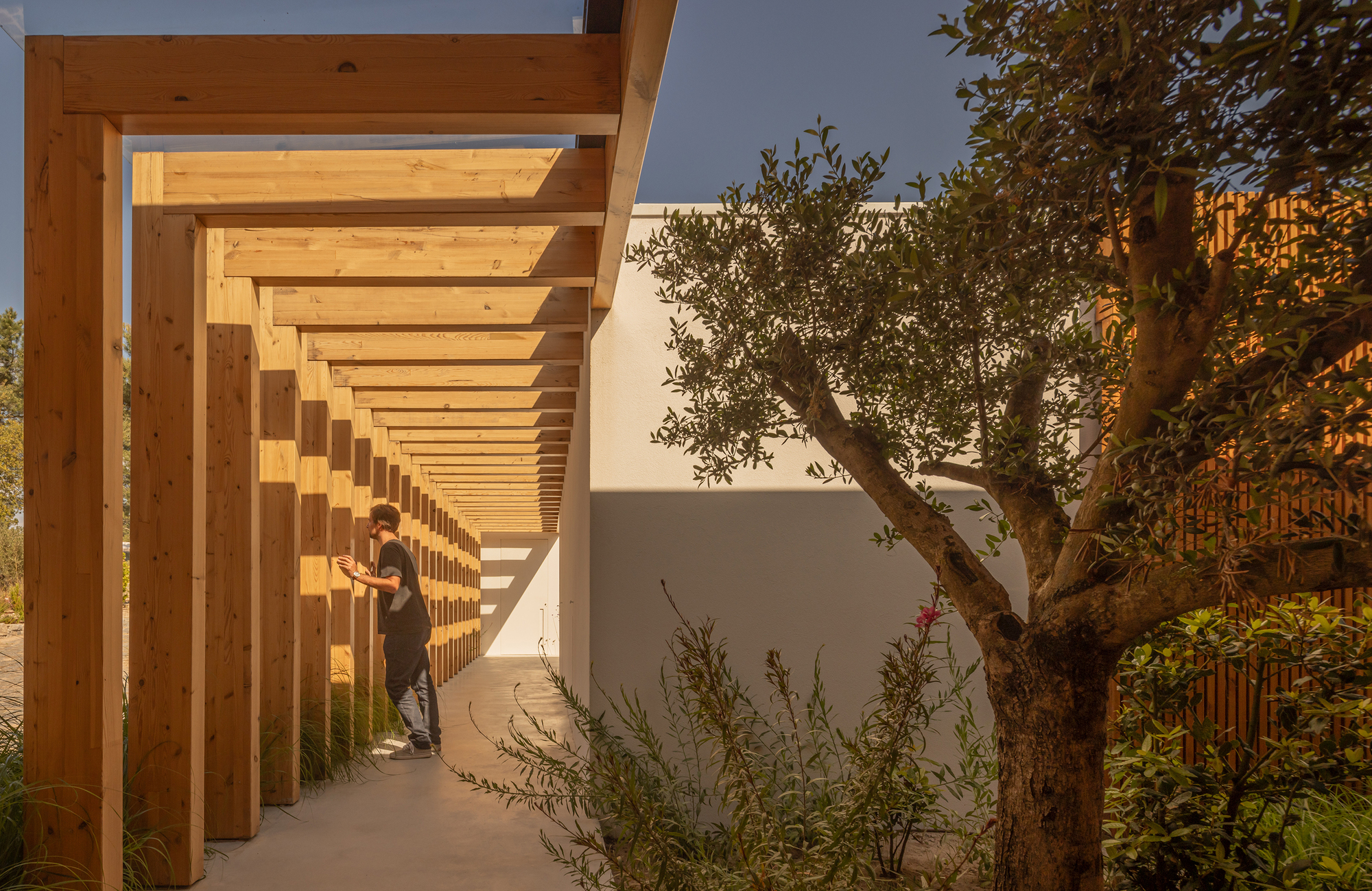 度假别墅丨葡萄牙丨Jacobsen Arquitetura-13